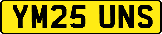 YM25UNS