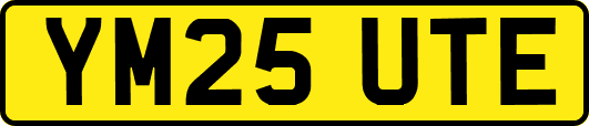 YM25UTE