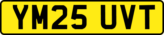 YM25UVT