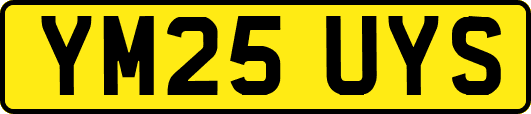 YM25UYS