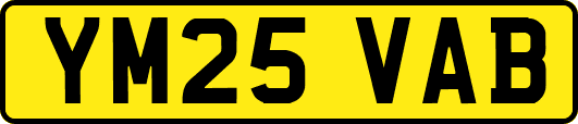 YM25VAB