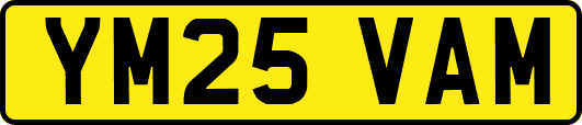 YM25VAM