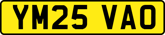 YM25VAO