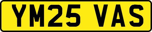 YM25VAS