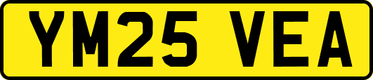 YM25VEA