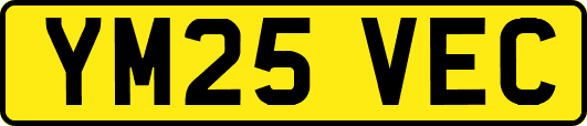 YM25VEC
