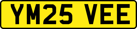 YM25VEE