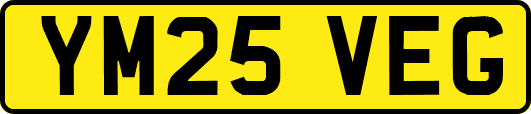 YM25VEG