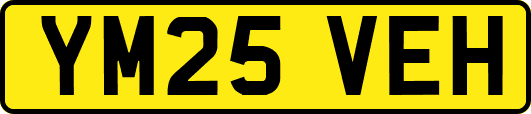 YM25VEH