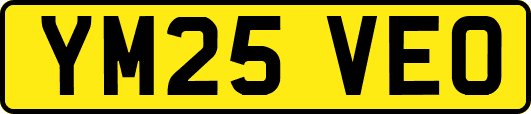 YM25VEO