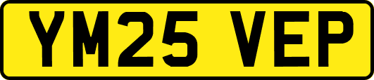 YM25VEP