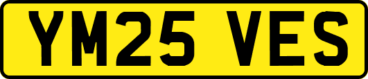 YM25VES