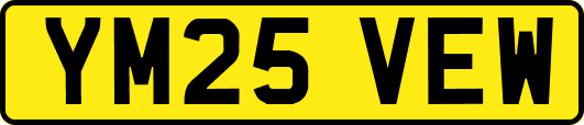 YM25VEW