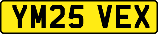 YM25VEX