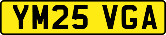 YM25VGA