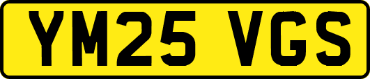 YM25VGS