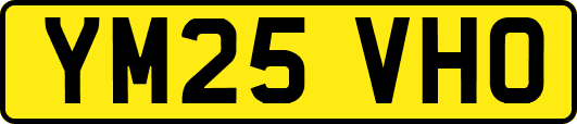 YM25VHO