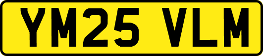 YM25VLM