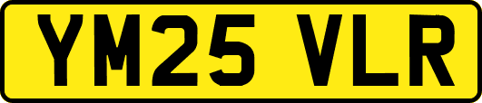 YM25VLR