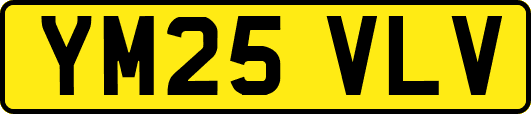 YM25VLV