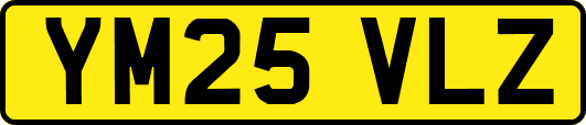 YM25VLZ