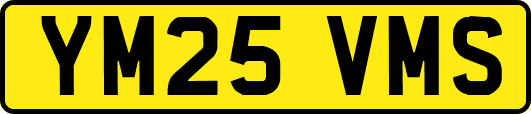 YM25VMS
