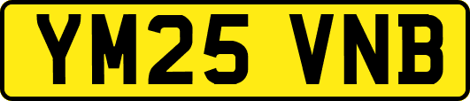 YM25VNB