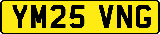 YM25VNG