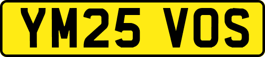 YM25VOS