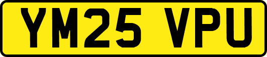 YM25VPU