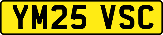 YM25VSC