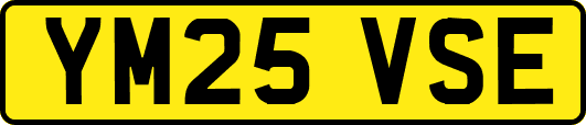 YM25VSE