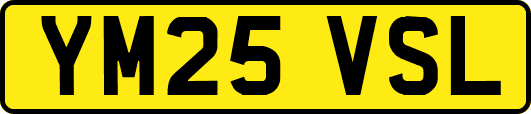 YM25VSL