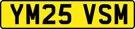 YM25VSM