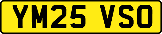 YM25VSO