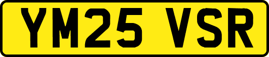 YM25VSR