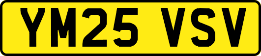 YM25VSV