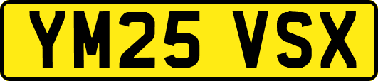 YM25VSX