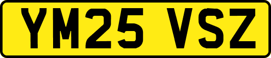 YM25VSZ