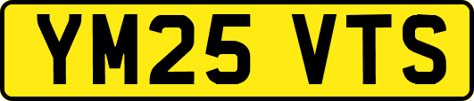 YM25VTS