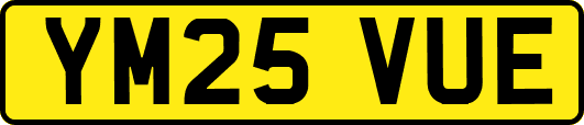 YM25VUE