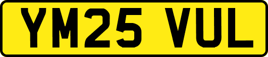 YM25VUL