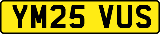 YM25VUS