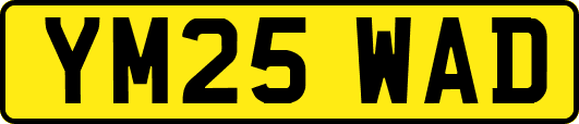 YM25WAD