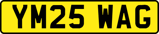 YM25WAG