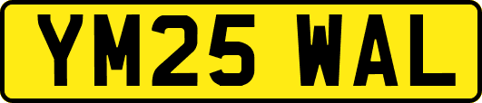 YM25WAL