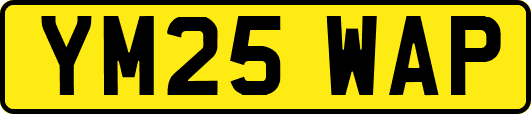 YM25WAP