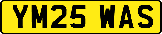YM25WAS