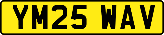 YM25WAV