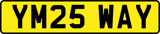 YM25WAY